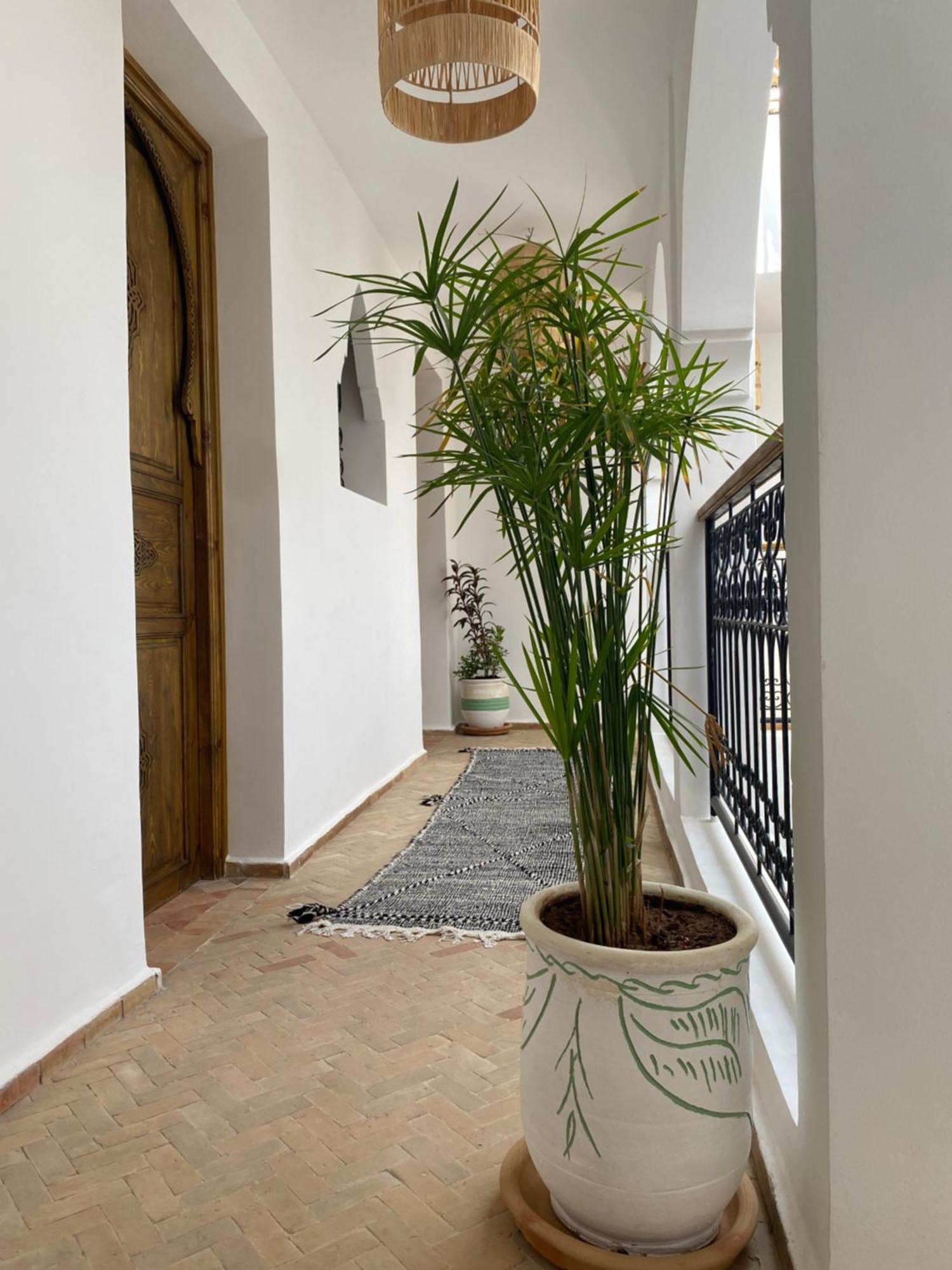 Riad & Spa Sous Le Soleil Chez Jerome Et Pamela Ch Zen Marrakesh Exterior photo